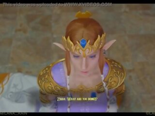 Princesse zelda se rencontre son nouveau roi