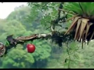 Lucu adam and eve commercial