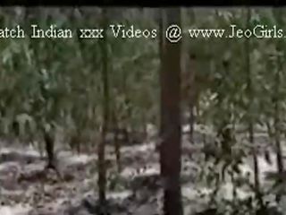 Jungle adulte vidéo