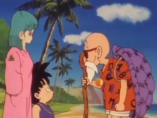 Bulma meets the medhis person roshi and vids her burungpun