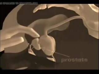 Si në jap një prostat masazh, falas xxx masazh xxx video vid